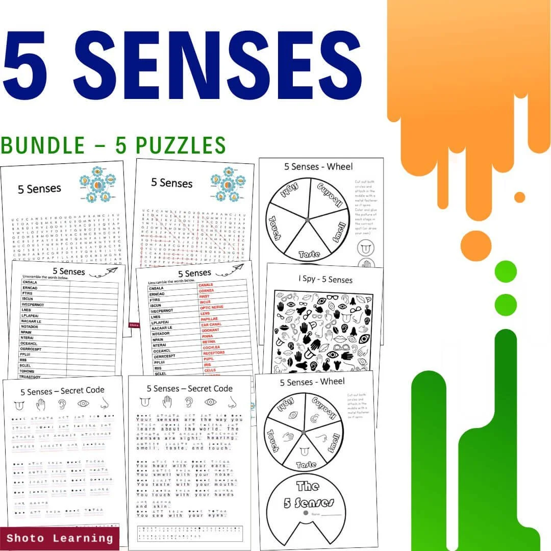 True or False Worksheets: Learn the 5 Senses